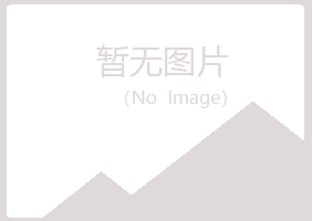 新疆女孩能源有限公司